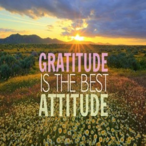 Gratitude-is-the-best-attitude-whatsapp-dp